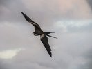 EC-2012-12-0482