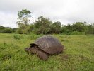 EC-2012-12-0700