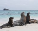 EC-2012-12-0842
