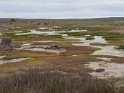 IMG_1453