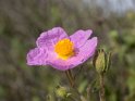 IT-2016-05-RH0025
