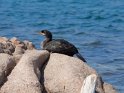 IT-2016-05-RH0451