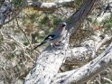 IT-2016-05-RH0467