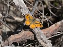IT-2016-05-RH0664