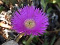 IT-2016-05-RH0750