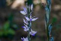 IT-2016-05-RH0829