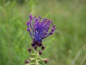 IT-2016-06-RH01051