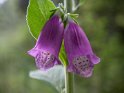 IT-2016-06-RH01104