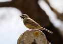 IT-2016-06-RH01134