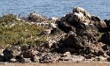 IT-2016-06-RH01335