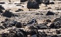 IT-2016-06-RH01339