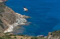 IT-2016-06-RH01458