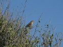 IT-2016-06-RH01616