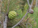 IT-2016-06-RH0843