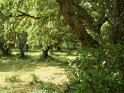 IT-2016-06-RH0885