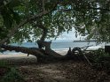 im Nationalpark Cahuita