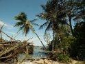 im Nationalpark Cahuita (2)
