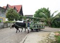 La Digue, Ochsenkarre
