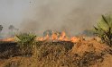 Feuer, als Landschaftspflege