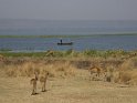 Fischer und Uganda Kop
