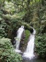 Bwindi (3)