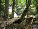 Bwindi (4)