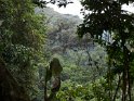 Bwindi (5)