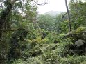 Bwindi impenetrable national park
