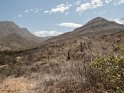 im Chaparri Reserve