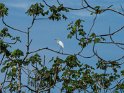 PE-2018-10-RH-5645