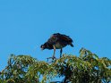 PE-2018-10-RH-5817