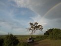 Regenbogen