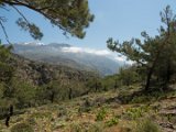 Hochebene zwischen Sougia und Lissos