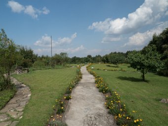 Mountain Gorilla View Lodge