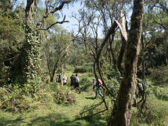 auf dem Weg zu den Berggorillas