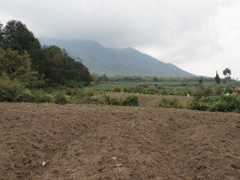 am Fuß der Virungaberge
