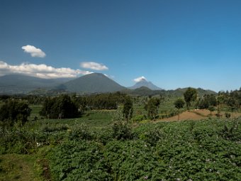 Kartoffelfelder auf dem Weg in die Berge