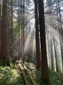 Gegenlicht