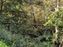 Holzsteg am Hammerbach