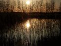 Sonnenuntergang