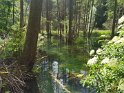 im Kleinziegenfeldertal