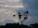 Regenstimmung