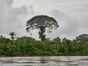 Rio Napo