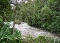 Alambi Reserve