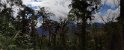 Bellavista Cloud Forest Reserve-1
