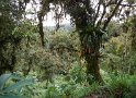 bei Paz de la Aves