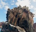 Buccaneer Cove-1