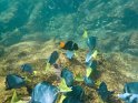 Unterwasserwelt