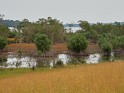 Loango Nationalpark (4)