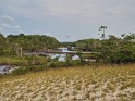Loango Nationalpark (5)